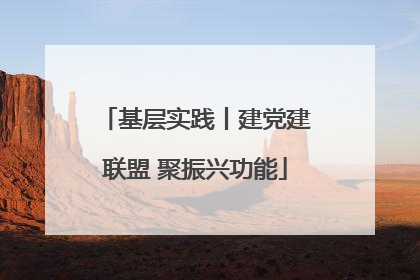 基层实践丨建党建联盟 聚振兴功能