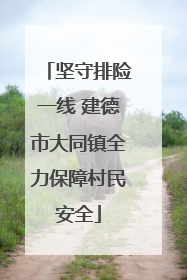 坚守排险一线 建德市大同镇全力保障村民安全