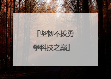 坚韧不拔勇攀科技之巅