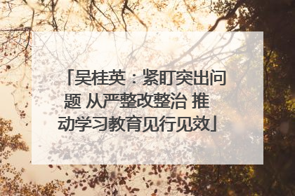 吴桂英：紧盯突出问题 从严整改整治 推动学习教育见行见效