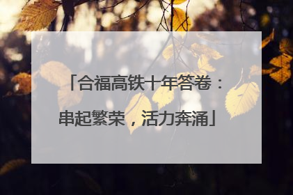 合福高铁十年答卷：串起繁荣，活力奔涌