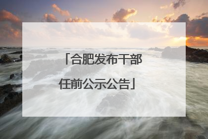 合肥发布干部任前公示公告