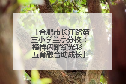 合肥市长江路第三小学兰亭分校：榜样闪耀绽光彩 五育融合助成长