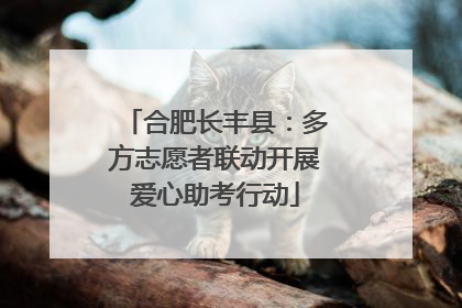 合肥长丰县：多方志愿者联动开展爱心助考行动