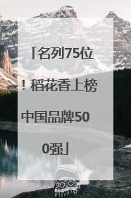 名列75位！稻花香上榜中国品牌500强