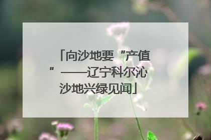 向沙地要“产值”——辽宁科尔沁沙地兴绿见闻