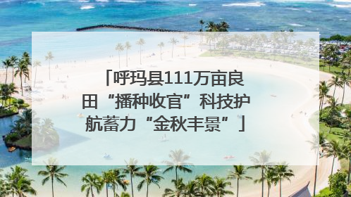 呼玛县111万亩良田“播种收官”科技护航蓄力“金秋丰景”