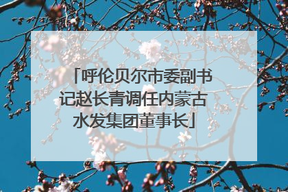 呼伦贝尔市委副书记赵长青调任内蒙古水发集团董事长