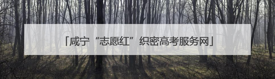 咸宁“志愿红”织密高考服务网