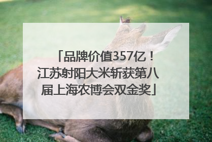品牌价值357亿！江苏射阳大米斩获第八届上海农博会双金奖