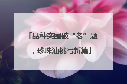 品种突围破“老”题，珍珠油桃写新篇