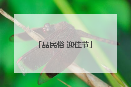 品民俗 迎佳节