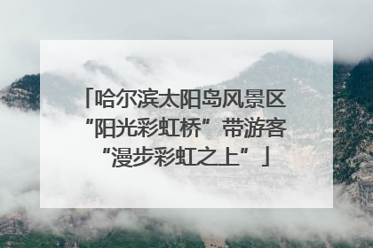 哈尔滨太阳岛风景区“阳光彩虹桥”带游客“漫步彩虹之上”