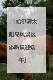 哈尔滨太阳岛风景区添新景迎端午