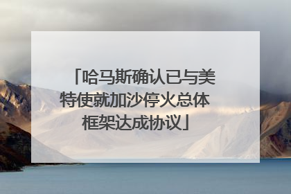 哈马斯确认已与美特使就加沙停火总体框架达成协议
