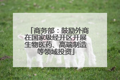 商务部：鼓励外商在国家级经开区开展生物医药、高端制造等领域投资