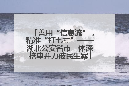 善用“信息流”，精准“打七寸”——湖北公安省市一体深挖串并力破民生案