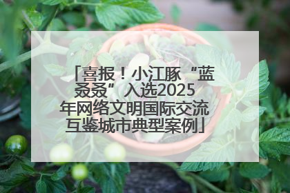 喜报！小江豚“蓝叒叒”入选2025年网络文明国际交流互鉴城市典型案例