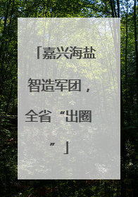 嘉兴海盐智造军团，全省“出圈”