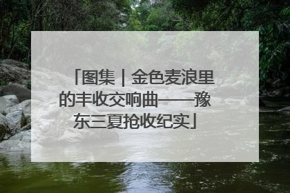 图集｜金色麦浪里的丰收交响曲——豫东三夏抢收纪实