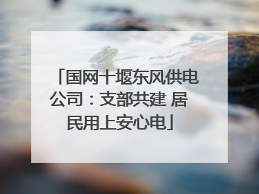 国网十堰东风供电公司：支部共建 居民用上安心电