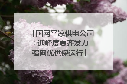 国网平凉供电公司：迎峰度夏齐发力 强网优供保运行