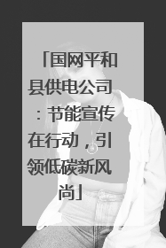 国网平和县供电公司：节能宣传在行动，引领低碳新风尚