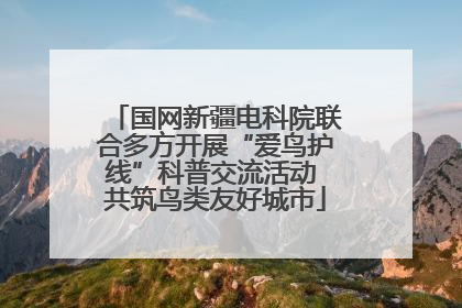 国网新疆电科院联合多方开展“爱鸟护线”科普交流活动 共筑鸟类友好城市