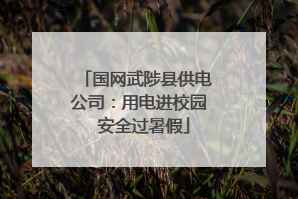 国网武陟县供电公司：用电进校园  安全过暑假