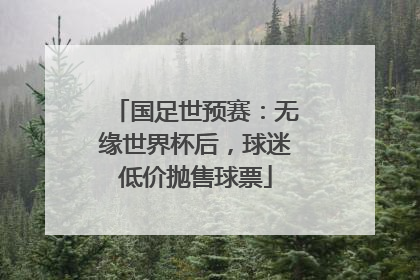 国足世预赛：无缘世界杯后，球迷低价抛售球票