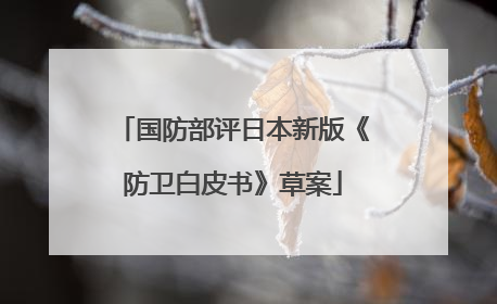 国防部评日本新版《防卫白皮书》草案