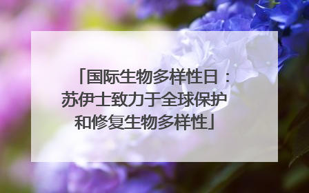 国际生物多样性日：苏伊士致力于全球保护和修复生物多样性