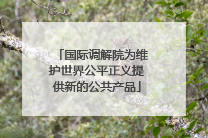 国际调解院为维护世界公平正义提供新的公共产品