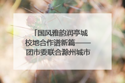 国风雅韵润亭城 校地合作谱新篇——团市委联合滁州城市职业学院助力传统文化“破圈”绽放