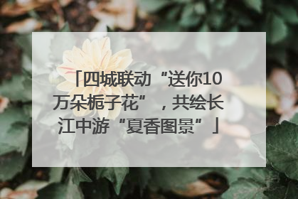 四城联动“送你10万朵栀子花”，共绘长江中游“夏香图景”