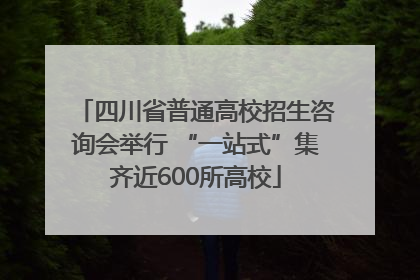 四川省普通高校招生咨询会举行 “一站式”集齐近600所高校