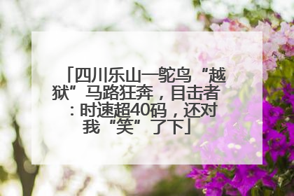 四川乐山一鸵鸟“越狱”马路狂奔，目击者：时速超40码，还对我“笑”了下