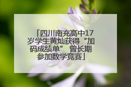 四川南充高中17岁学生黄灿获得“加码成绩单” 曾长期参加数学竞赛