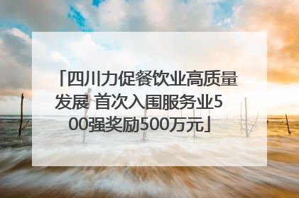 四川力促餐饮业高质量发展 首次入围服务业500强奖励500万元