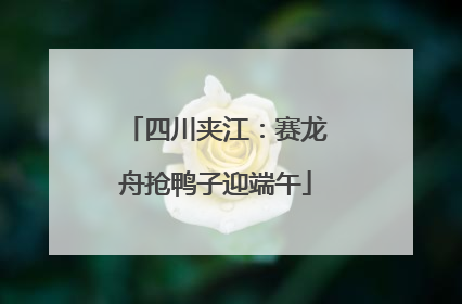 四川夹江：赛龙舟抢鸭子迎端午