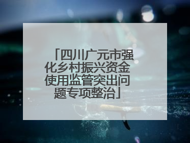 四川广元市强化乡村振兴资金使用监管突出问题专项整治