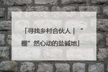 寻找乡村合伙人｜“棚”然心动的盐碱地