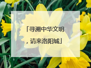 寻溯中华文明，请来洛阳城