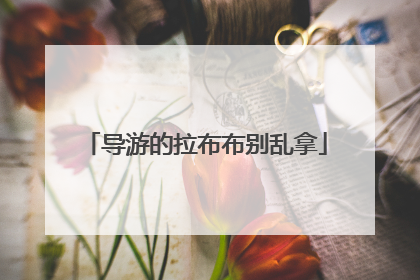 导游的拉布布别乱拿
