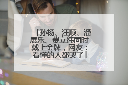 孙杨、汪顺、潘展乐、费立纬同时戴上金牌，网友：看懂的人都哭了