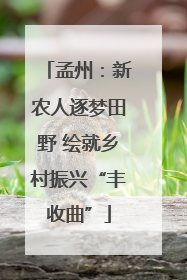 孟州：新农人逐梦田野 绘就乡村振兴“丰收曲”