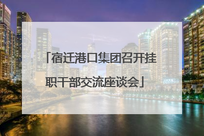 宿迁港口集团召开挂职干部交流座谈会