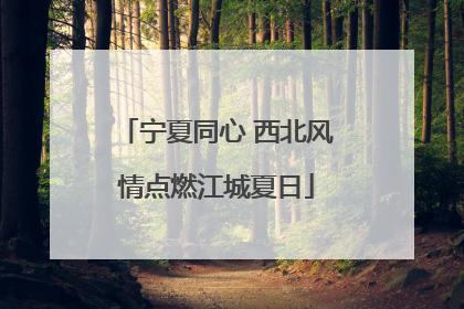 宁夏同心 西北风情点燃江城夏日