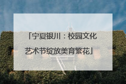 宁夏银川：校园文化艺术节绽放美育繁花