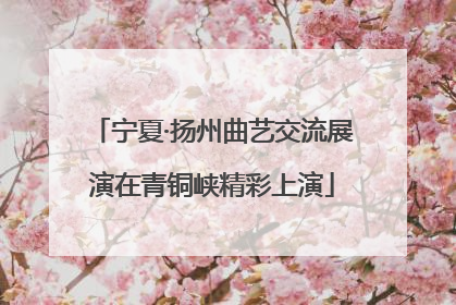 宁夏·扬州曲艺交流展演在青铜峡精彩上演